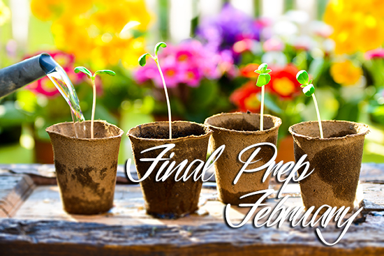 Final Prep February! Tips for your sping garden.