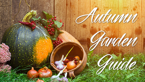 Autumn Garden Guide