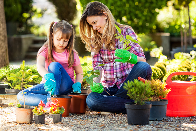 Cool and Warm Season Crops