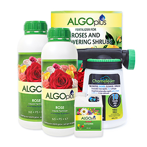 ALGOplus care for your Rose gardens!