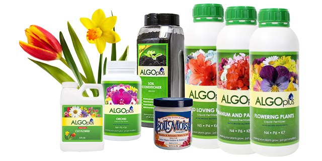 Flower Garden Fertilizers and Products