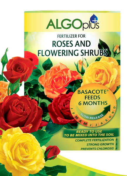 Algoplus Roses and Flowering Shrubs fertilizer