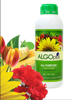 Is ALGOplus organic?