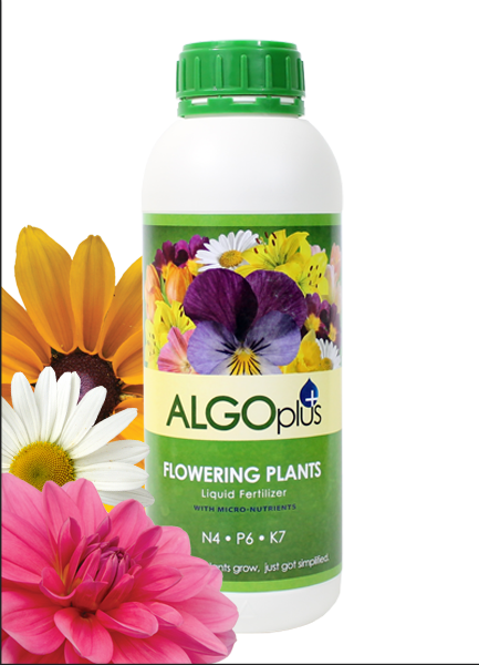Fertilizer for flowering plants