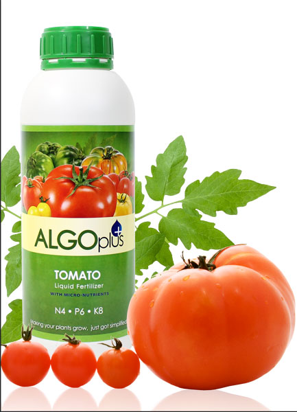 Algoplus Tomato Fertilizer