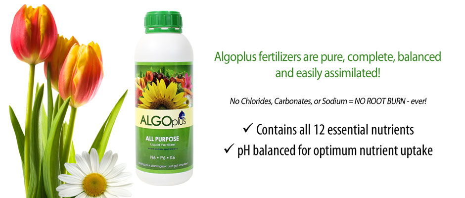 Pure, Complete, Balanced, and Easily Assimilated Fertilizers!